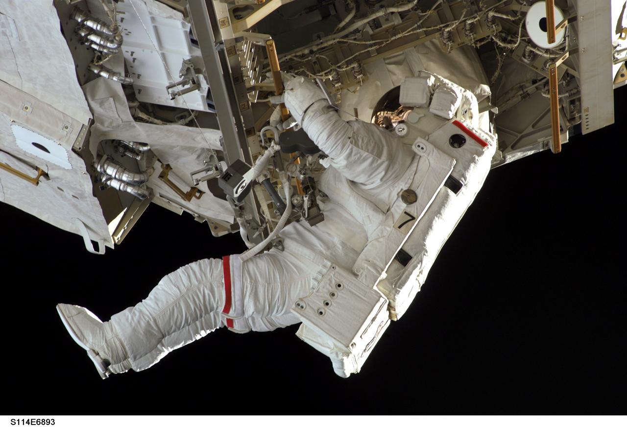S114-E-6893 (3 August 2005) --- Astronaut Soichi Noguchi, STS-114 mission specialist representing Japan Aerospace Exploration Agency (JAXA), participates in the mission;s third session of extravehicular activity (EVA).
