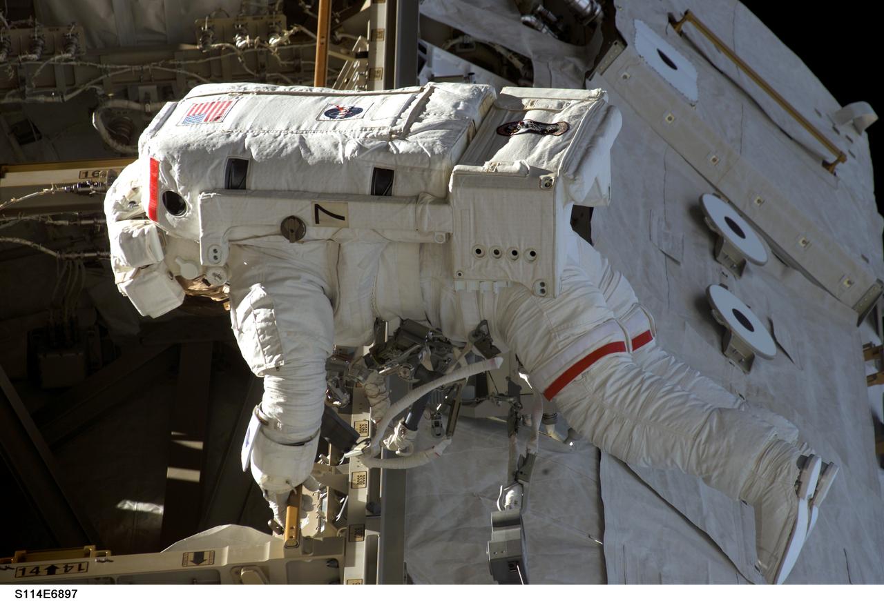 S114-E-6897 (3 August 2005) --- Astronaut Soichi Noguchi, STS-114 mission specialist representing Japan Aerospace Exploration Agency (JAXA), participates in the mission;s third session of extravehicular activity (EVA).