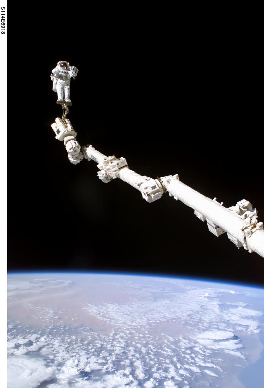 S114-E-6918 (3 August 2005) --- Astronaut Stephen K. Robinson, STS-114 mission specialist, anchored to a foot restraint on the extended International Space Station;s Canadarm2, participates in the mission;s third session of extravehicular activity (EVA). The blackness of space and Earth;s horizon form the backdrop for the image.