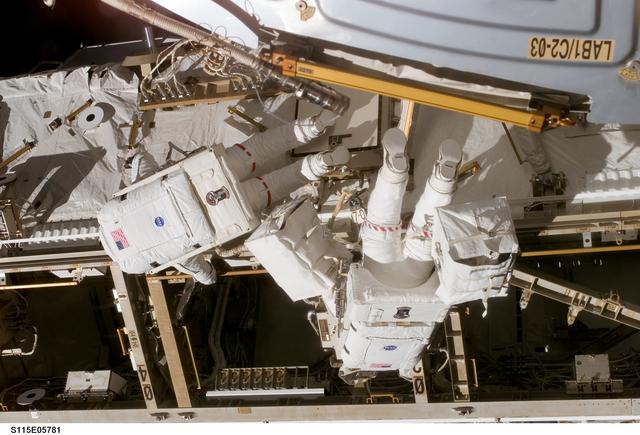 NASA image: MacLean and Burbank performing second EVA spacewalk