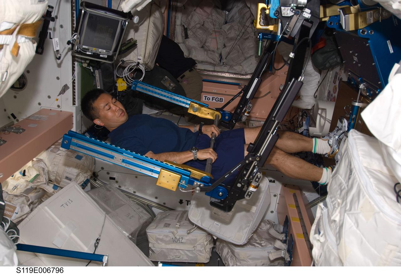 S119-E-006796 (20 March 2009) --- Japanese Aerospace Exploration Agency astronaut Koichi Wakata, Expedition 18/19 flight engineer, starts to work out on the Advanced Resistive Exercise Device (aRED) in the Unity node aboard the International Space Station.