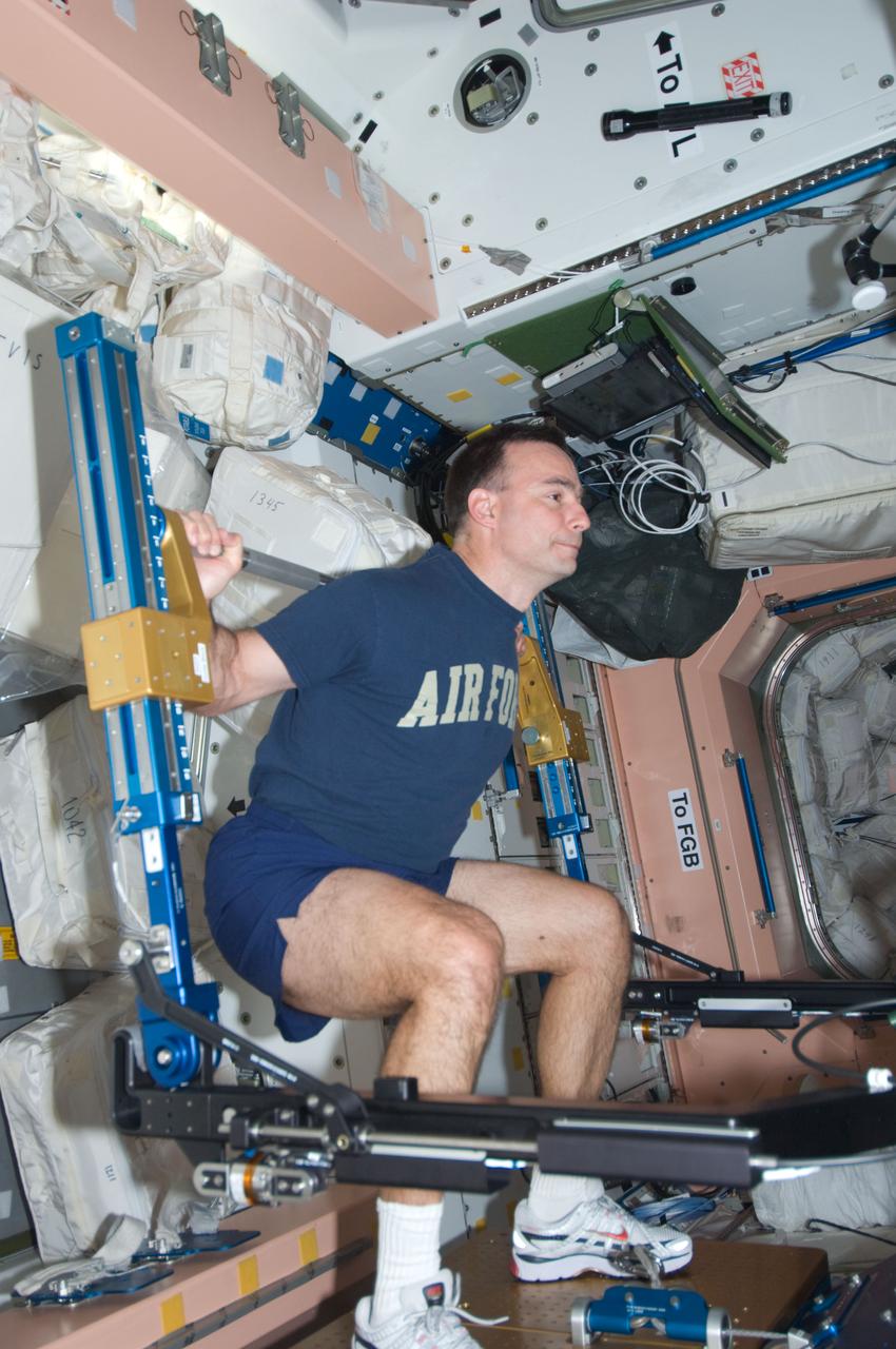S119-E-006807 (20 March 2009) --- Astronaut Lee Archambault, commander of the STS-119 mission, conducts an Advanced Resistive Exercise Device (aRED) workout in the Unity node aboard the International Space Station.