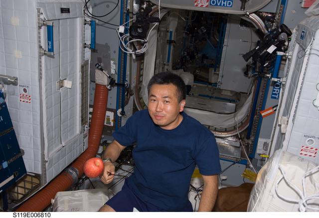 NASA image: Wakata eats an apple in Node 2 Harmony