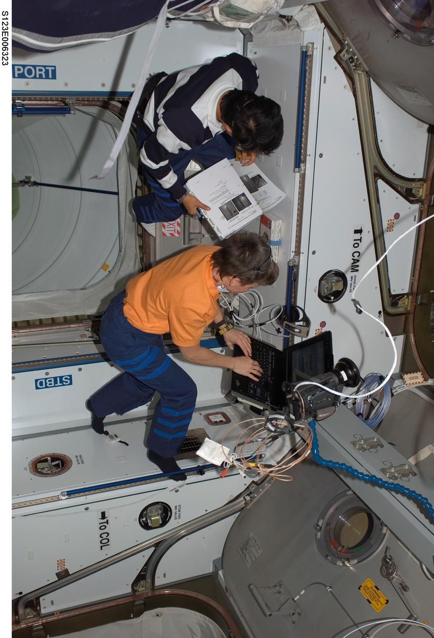 S123-E-006323 (15 March 2008) --- A high angle view shows astronaut Peggy Whitson, Expedition 16 commander, and Japan Aerospace Exploration Agency (JAXA) astronaut Takao Doi, STS-123 mission specialist, as they work aboard the Node 2, Harmony, on the International Space Station. Nine astronauts and one cosmonaut will spend over a week joining forces to perform a variety of chores on the orbital outpost.
