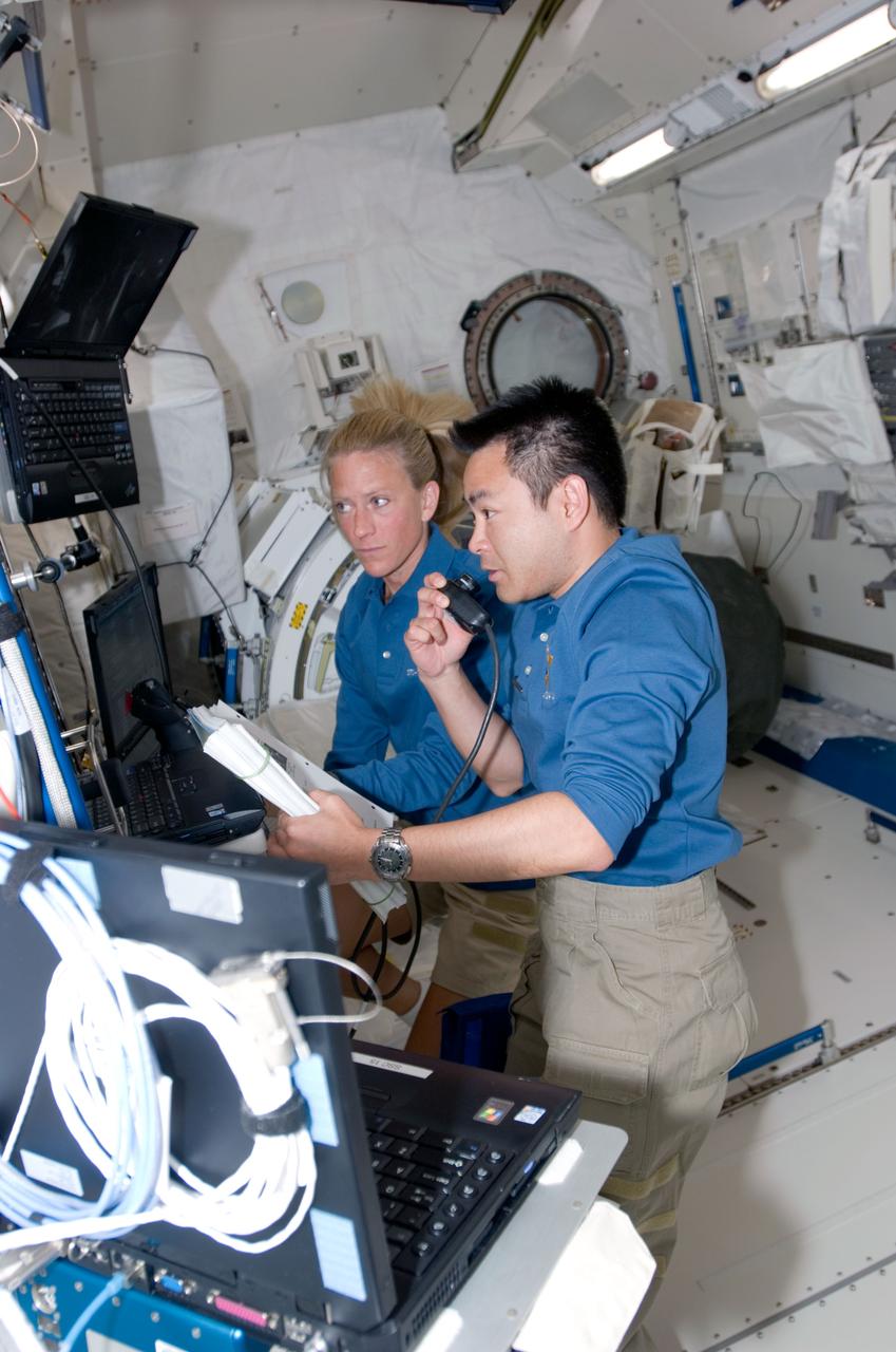 Hoshide and Nyberg during JPM RMS deployment