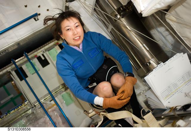 NASA image: Yamazaki in MPLM