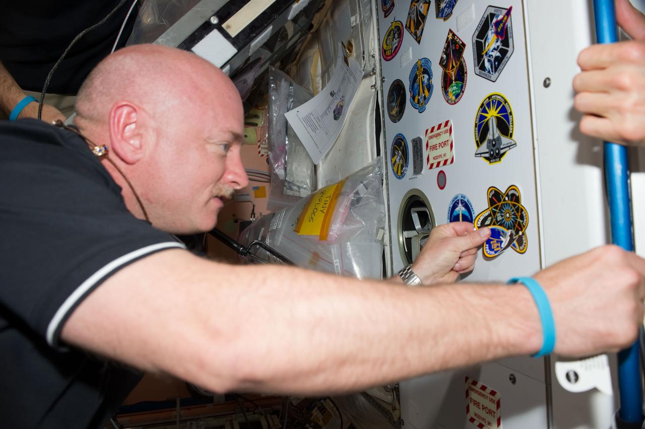 S134-E-008426 (21 May 2011) --- Continuing a tradition for visiting shuttle commanders, NASA astronaut Mark Kelly, STS-134 commander, attaches a decal of his mission patch at the end of a growing collection of mission insignias displayed in the Unity node onboard the International Space Station. Kelly is currently one of twelve astronauts and cosmonauts sharing work onboard the joint complex of space shuttle Endeavour and the space station.  Photo credit: NASA