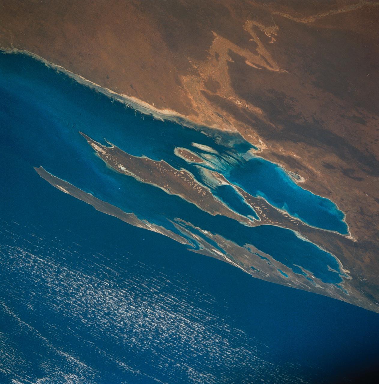 STS035-81-040 (2-10 Dec 1990) --- Numerous algae reefs are seen in Shark Bay, Western Australia, Australia (26.0S, 113.5E) especially in the southern portions of the bay. The south end is more saline because tidal flow in and out of the bay is restricted by sediment deposited at the north and central end of the bay opposite the mouth of the Wooramel River. This extremely arid region produces little sediment runoff so that the waters are very clear, saline and rich in algae.