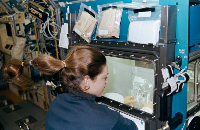 NASA image: STS-40 Mission Specialist (MS) Jernigan uses the SLS-1 GPWS glovebox