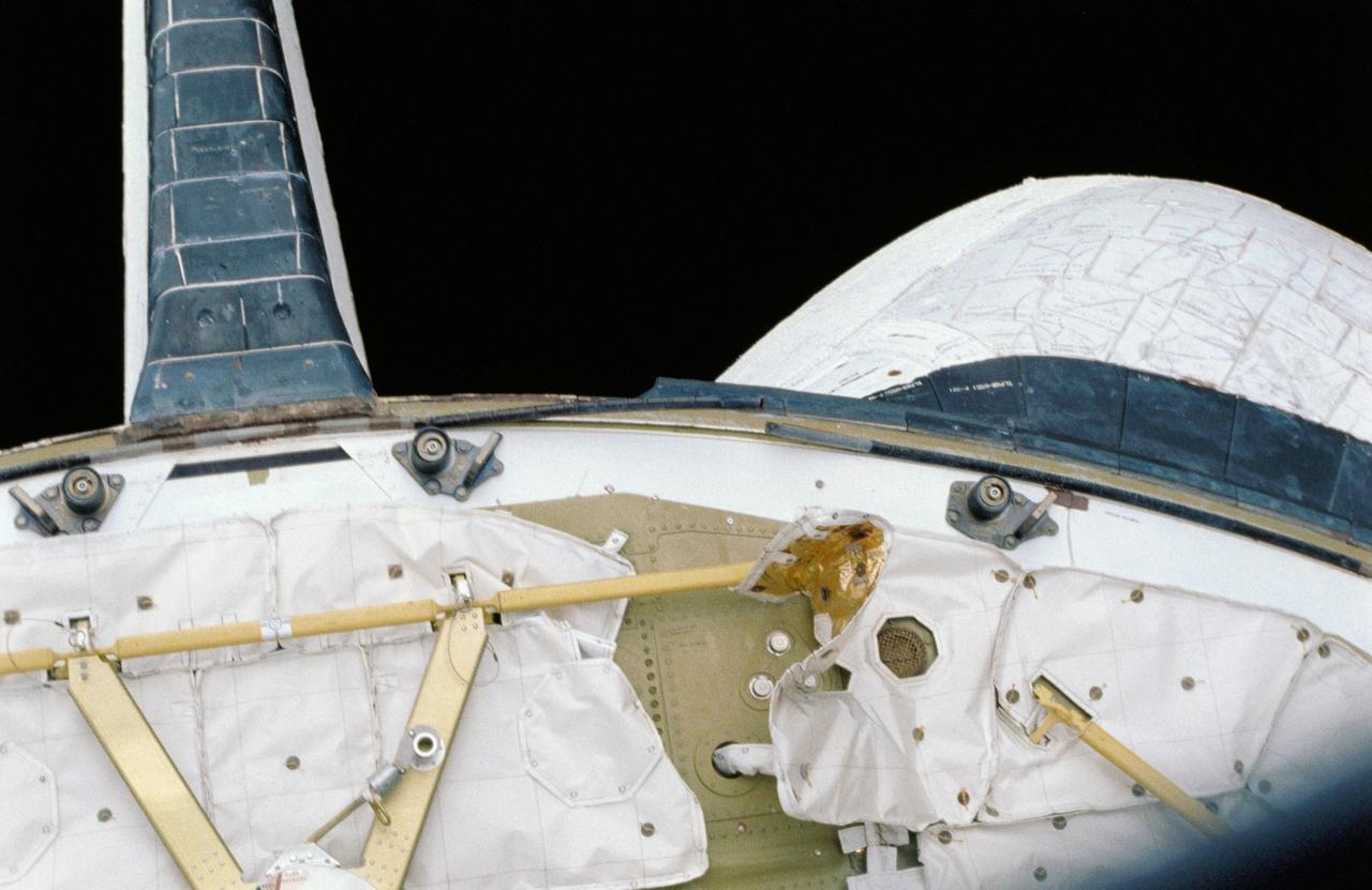 STS040-31-029 (5-14 June 1991) --- This close-up 35mm scene of the aft firewall in the Space Shuttle Columbia's cargo bay reveals a piece of thermal insulation that had loosened.  The crew discovered the loose blanket soon after opening the cargo bay doors on June 5, 1991.