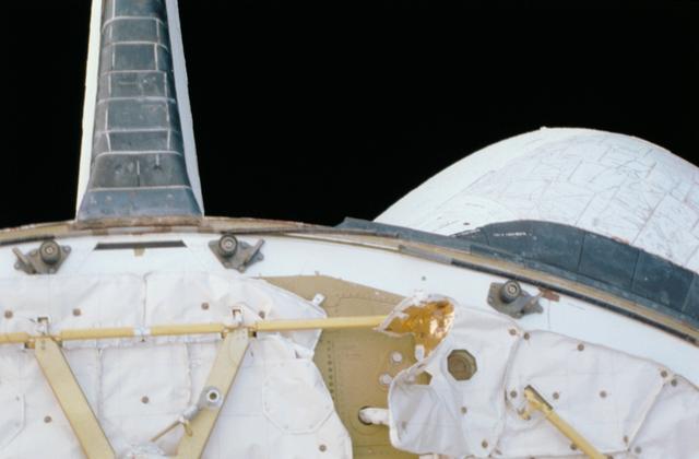 NASA image: STS-40 orbiter Columbia payload bay aft firewall and thermal insulation