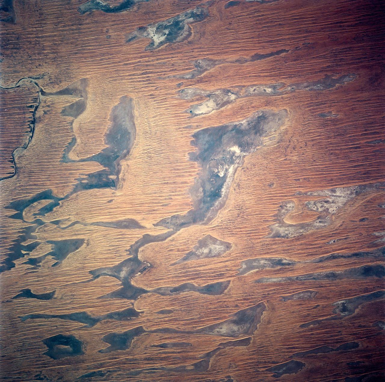 This image of abstract shapes is comprised numerous subparallel, very long, orange colored linear dunes and patchy grey dry lakes (playas). The dunes are aligned north to south in the great central basin of Astralia (27.0S, 138.0E). The regularity of the dunes is created by the winds blowing from the south. As the dunes advance, jaged edges on the south side of each dry lake are formed while the north side is eroded smooth by the wind and water.