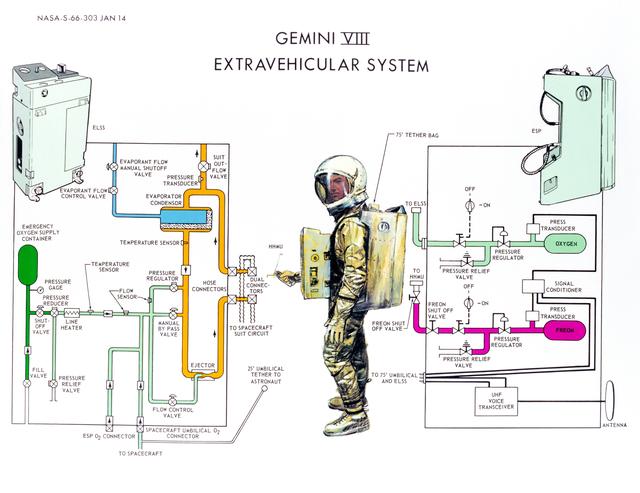 NASA image: GEMINI-TITAN (GT)-8 (DIAGRAM)(EXTRAVEHICULAR SYSTEM) - MSC