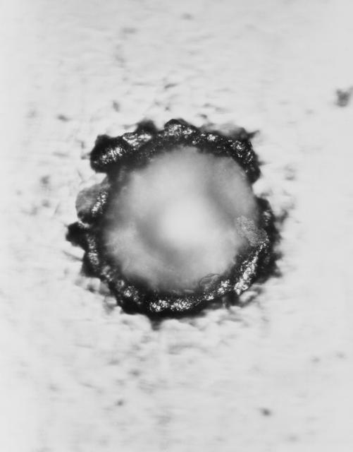 NASA image: GEMINI S-10 - EXPERIMENTS - MICROMETEORITE PACKAGE - MSC