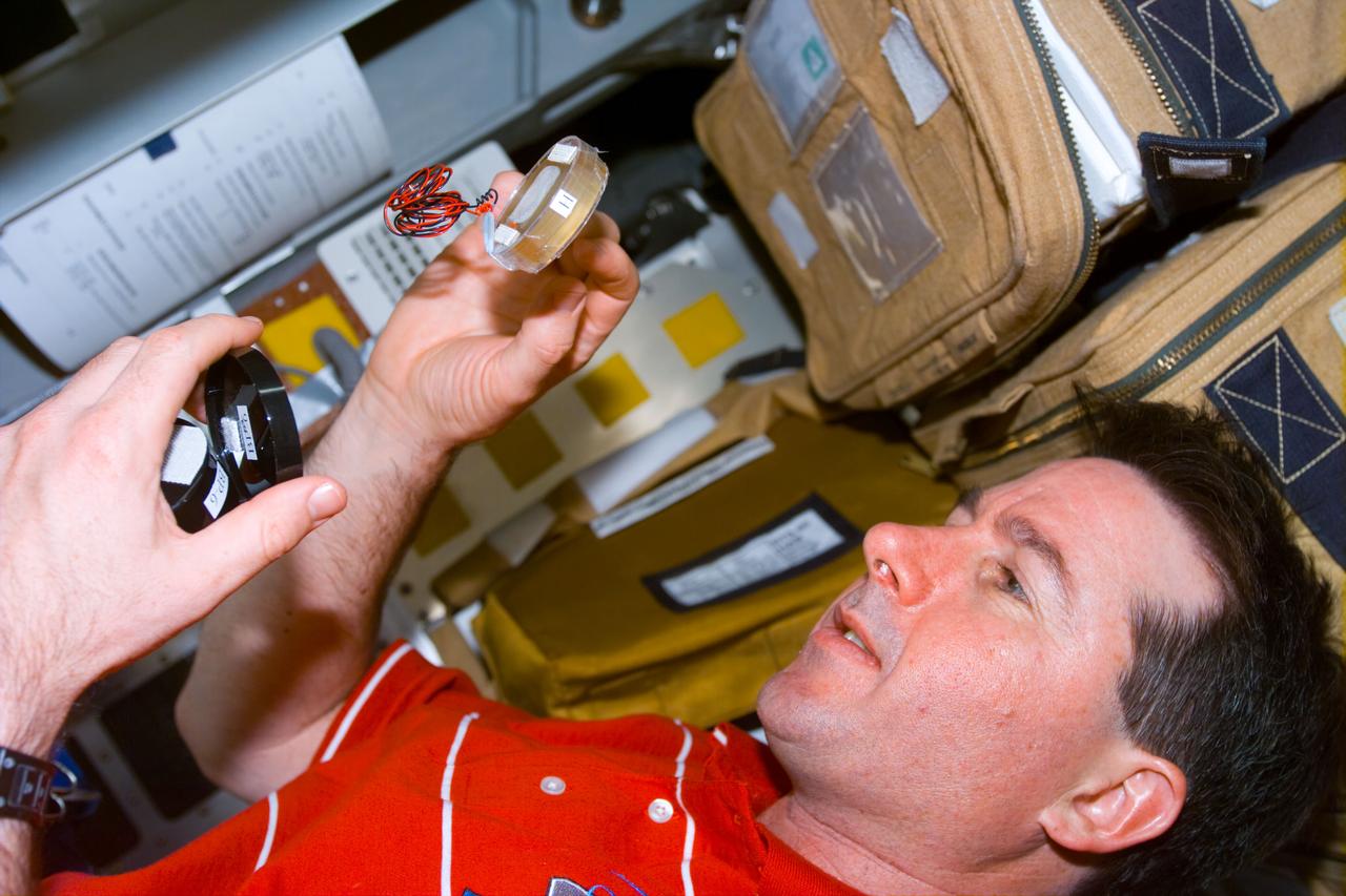 STS095-E-5102 (2 Nov. 1998) --- Astronaut Stephen K. Robinson, STS-95 mission specialist, with experiment during Flight Day 4 activity.  The photograph was taken with an electronic still camera (ESC) at 04:58:07 GMT, Nov. 2.