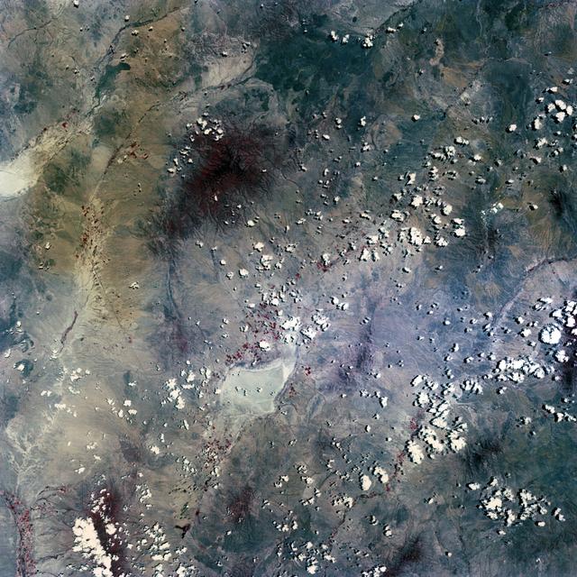 NASA image: Astronaut Joseph Kerwin strapped into sleep restraint in crew quarters