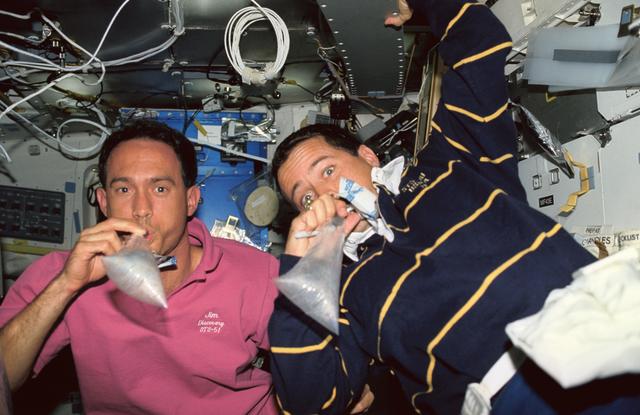 NASA image: Astronauts Newman and Bursch participate in DSO 622