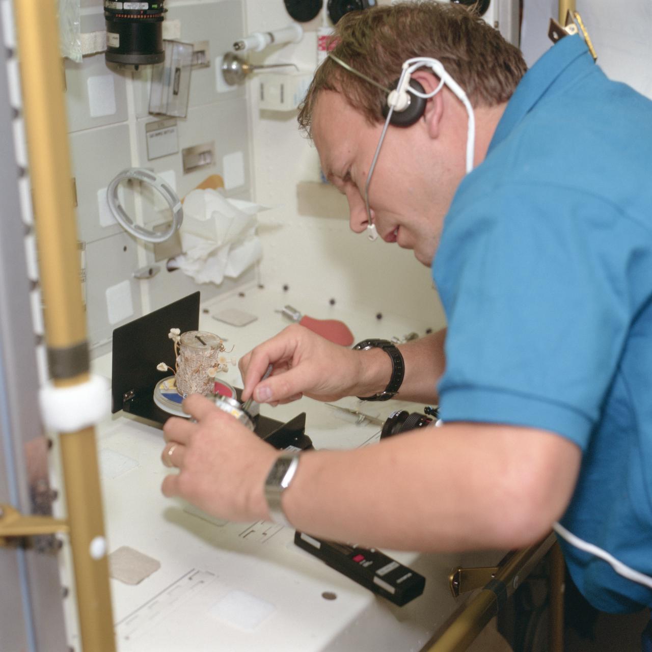 STS055-106-037 (26 April-6 May 1993) --- Hans Schlegel works with a fungi experiment in the Spacelab D-2 Science Module onboard the Earth-orbiting Space Shuttle Columbia.  Schlegel was one of two payload specialists representing the German Aerospace Research Establishment (DLR) on the 10-day Spacelab D-2 mission.