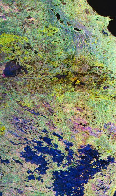 NASA image: False-color composite image of Raco, Michigan