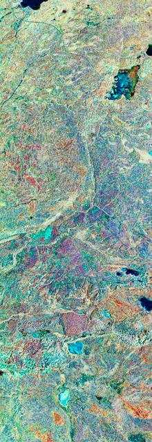 STS059-S-079 (18 April 1994) --- This is a false-color, three frequency image of Prince Albert, Canada, centered at 53.91 north latitude and 104.69 west longitude.  It was produced using data from the X-Band, C-Band and L-Band radars that comprise the Spaceborne Imaging Radar-C and X-Band Synthetic Aperture Radar (SIR-C/X-SAR).  SIR-C/X-SAR acquired this image on the 20th orbit of the Space Shuttle Endeavour.  The area is located 40 kilometers north and 30 kilometers east of the town of Prince Albert in the Saskatchewan province of Canada.  The image covers the area east of the Candle Lake, between gravel surface Highways 120 and 106 and west of 106.  The area in the middle of the image covers the entire Nipawin (Narrow Hills) provincial park.  The look angle of the radar is 30 degrees and the size of the image is approximately 20 by 50 kilometers.  The red, green, and blue colors represent L-Band total power, C-Band total power, and XVV respectively.  The changes in the intensity of each color are related to various surface conditions such as frozen or thawed forest, fire, deforestation and areas of regrowth.  Most of the dark blue areas in the image are the ice covered lakes.  The dark area on the top right corner of the image is the White Gull Lake north of the intersection of Highway 120 and 913.  The right middle part of the image shows Lake Ispuchaw and Lower Fishing Lake.  The deforested areas are shown by light blue in the image.  Since most of the logging practice at the Prince Albert area is around the major highways, the deforested areas can be easily detected as small geometrically shaped dark regions along the roads.  At the time these data were taken, a major part of the forest was either frozen or undergoing the spring thaw.  In such conditions, due to low volume of water in the vegetation, a deeper layer of the canopy is imaged by the radar, revealing valuable information about the type of trees, the amount of vegetation biomass and the condition of the surface.  As the frequency increases, the penetration depth in the canopy decreases.  Over forest canopies, the X-Band radar contains information about the top of the canopy.  Whereas, C-Band and L-Band radar returns show contributions from the crown and trunk areas respectively.  The bright areas in the image are dense mixed aspen and old jackpine forests where the return from all three bands is high.  The reddish area corresponds to more sparse old jack pine (12 to 17 meters in height and 60 to 75 years old) where the L-Band signal penetrates deeper in the canopy and dominates C-Band and X-Band returns.  Comparison of the image with the forest cover map of the area indicates that the three band radar can be used to classify various stands.  SIR-C/X-SAR is part of NASA's Mission to Planet Earth (MTPE).  SIR-C/X-SAR radars illuminate Earth with microwaves allowing detailed observations at any time, regardless of weather or sunlight conditions.  SIR-C/X-SAR uses three microwave wavelengths: L-Band (24 cm), C-Band (6 cm), and X-Band (3 cm).  The multi-frequency data will be used by the international scientific community to better understand the global environment and how it is changing.  The SIR-C/X-SAR data, complemented by aircraft and ground studies, will give scientists clearer insights into those environmental changes which are caused by nature and those changes which are induced by human activity.  SIR-C was developed by NASA's Jet Propulsion Laboratory (JPL).  X-SAR was developed by the Dornire and Alenia Spazio Companies for the German Space Agency, Deutsche Agentur fuer Raumfahrtangelegenheiten (DARA), and the Italian Space Agency, Agenzia Spaziale Italiana (ASI).    JPL Photo ID: P-43929