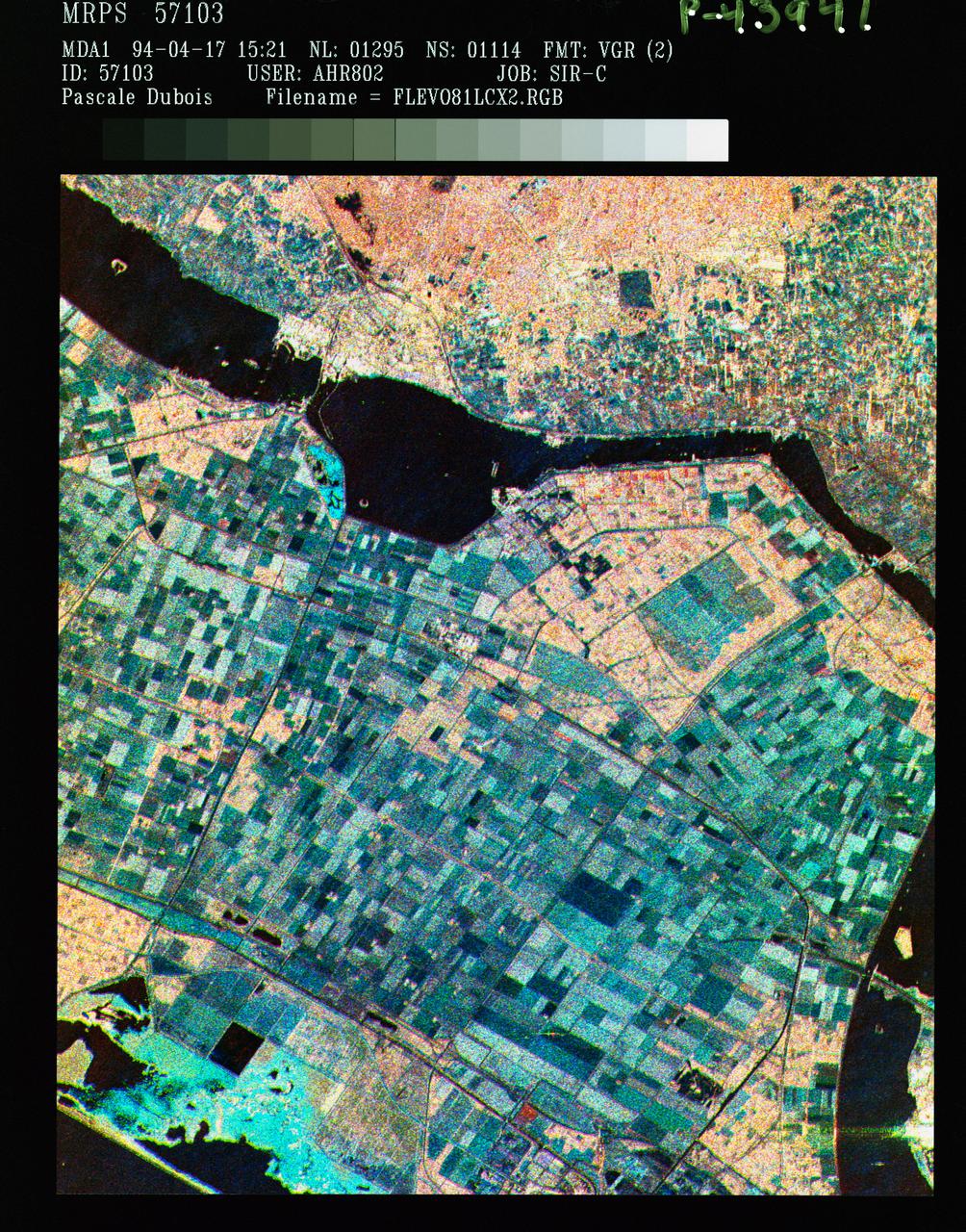 STS059-S-086 (18 April 1994) --- This is a three-frequency false-color image of Flevoland, the Netherlands, centered at 52.4 degrees north latitude, and 5.4 degrees east longitude.  This image was acquired by the Spaceborne Imaging Radar-C and X-Band Synthetic Aperture Radar (SIR-C/X-SAR) aboard the Space Shuttle Endeavour on April 14, 1994.  It was produced by combining data from the X-Band, C-Band and L-Band radar's.  The area shown is approximately 25 by 28 kilometers (15 1/2 by 17 1/2 miles).  Flevoland, which fills the lower two-thirds of the image, is a very flat area that is made up of reclaimed land that is used for agriculture and forestry.  At the top of the image, across the canal from Flevoland, is an older forest shown in red; the city of Harderwijk is shown in white on the shore of the canal.  At this time of the year, the agricultural fields are bare soil, and they show up in this images in blue.  The changes in the brightness of the blue areas are equal to the changes in roughness.  The dark blue areas are water and the small dots in the canal are boats.  This SIR-C/X-SAR supersite is being used for both calibration and agricultural studies.  Several soil and crop ground-truth studies will be conducted during the Shuttle flight.  In addition, about 10 calibration devices and 10 corner reflectors have been deployed to calibrate and monitor the radar signal.  One of these transponders can be seen as a bright star in the lower right quadrant of the image.  This false-color image was made using L-Band total power in the red channel, C-Band total power in the green channel, and X-Band VV polarization in the blue channel.  SIR-C/X-SAR is part of NASA's Mission to Planet Earth (MTPE).  SIR-C/X-SAR radars illuminate Earth with microwaves allowing detailed observations at any time, regardless of weather or sunlight conditions.  SIR-C/X-SAR uses three microwave wavelengths: L-Band (24 cm), C-Band (6 cm), and X-Band (3 cm).  The multi-frequency data will be used by the international scientific community to better understand the global environment and how it is changing.  The SIR-C/X-SAR data, complemented by aircraft and ground studies, will give scientists clearer insights into those environmental changes which are caused by nature and those changes which are induced by human activity.  SIR-C was developed by NASA's Jet Propulsion Laboratory (JPL).  X-SAR was developed by the Dornire and Alenia Spazio Companies for the German Space Agency, Deutsche Agentur fuer Raumfahrtangelegenheiten (DARA), and the Italian Space Agency, Agenzia Spaziale Italiana (ASI).     JPL Photo ID: P-43941