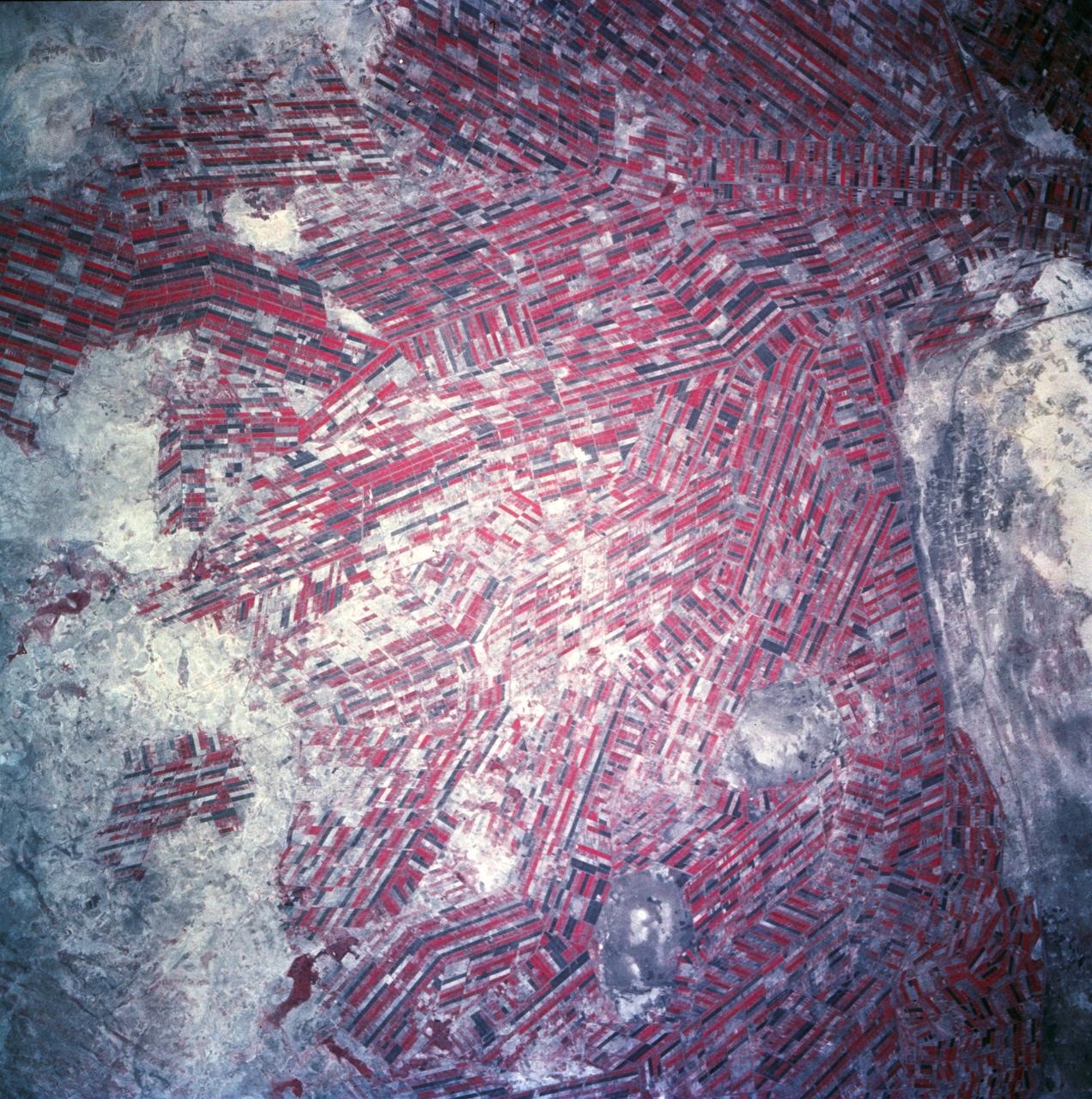 Agricultural patterns are distinctly visible in this near-vertical false color infrared photography taken in November 1994. The area depicted on the photograph is south of Khartoum between the White and Blue Nile Rivers. By far the most important irrigation project in sub-Saharan Africa, both large and small scale agricultural enterprises have been developed using water transported from the perennial Nile Rivers. Hundreds of small rectangular fields and water-filled canals can be seen in this photograph.