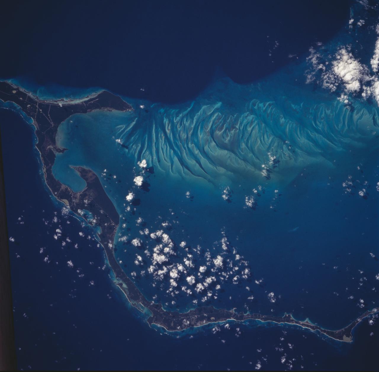 The striking views provided by the Bahama Islands lend insights into the important problems of limestone (CaCO3) production and transport. This photograph includes the southern part of Eleuthera Island in the northern Bahamas. The hook-shaped island encloses a relatively shallow platform (light blue) which is surrounded by deep water (dark blue). The feathery pattern along the western edge of Eleuthera's platform are sand bars and sand channels created by tidal currents sweeping on and off the platform. The channels serve to funnel large amounts of CaCO3 off the platform and into the deeper water.