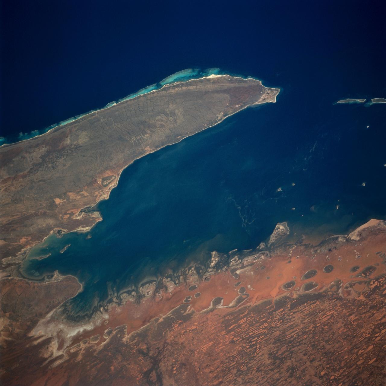 The Exmouth Gulf, western Australia, is bounded on the west by the Cape Ranges; near the base of the peninsula the Learmonth Airfield, site of a solar observatory, can be seen. Spit-accretion ridges formed on ancient beaches extend along the western edge of the peninsula, which today is lined by the Ningaloo Reef. Red mud carried by floodwaters, the result of Hurricane Bobby the previous week, cover flat coastal land along the eastern side of the gulf. The mud is mixing slowly with marine water as it filters through passes between mangrove-covered islands. A filamentous pattern in the gulf probably indicates a plankton bloom. Island paleodunes stretching from south to north cover the landscape.