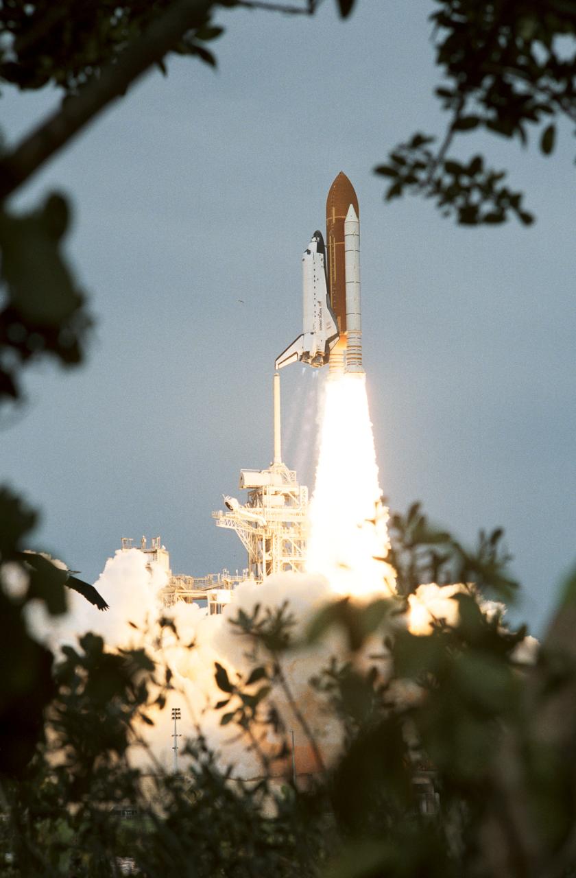 STS069-S-019 (7 September 1995) --- Florida shrubbery frames the liftoff phase of the Space Shuttle Endeavour as it begins the STS-69 mission. Liftoff from Launch Pad 39A occurred at 11:09:00:52 a.m. (EDT), September 7, 1995. The crew of five NASA astronauts is embarking on an 11-day multifaceted mission featuring two free-flying scientific research spacecraft, a spacewalk and a host of experiments in both the cargo bay and the middeck.  Onboard were astronauts David M. Walker, Kenneth D. Cockrell, James S. Voss, James H. Newman and Michael L. Gernhardt.