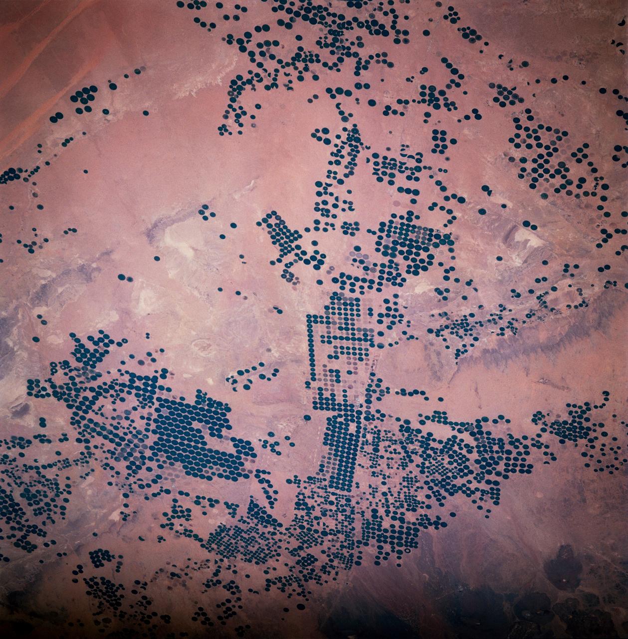 STS083-747-033 (4-8 April 1997) --- Center Pivot Irrigation, in Saudi Arabia.  This irrigation project in Saudi Arabia is typical of many isolated irrigation projects scattered throughout the arid and hyper-arid regions of the Earth.  Fossil water is mined from depths as great as 3,000 feet, pumped to the surface, and distributed via large center pivot irrigation feeds.  The circles of green irrigated vegetation may comprise a variety of agricultural commodities from alfalfa to wheat.  Diameters of the normally circular fields range from a few hundred meters to as much as 2 miles.  The projects often trace out a narrow, sinuous, and seemingly random path.  Actually, engineers generally seek ancient river channels now buried by the sand seas.  The fossil waters mined in these projects accumulated during periods of wetter climate in the Pleistocene glacial epochs, between 10,000 to 2 million years ago, and are not being replenished under current climatic conditions.  The projects, therefore, will have limited production as the reservoirs are drained.  Water, of course, is the key to agriculture in Saudi Arabia.  The Kingdom has implemented a multifaceted program to provide the vast supplies of water necessary to achieve the spectacular growth of the agricultural sector.  A network of dams has been built to trap and utilize precious seasonal floods.  Vast underground water reservoirs have been tapped through deep wells.  Desalination plants have been built to produce fresh water from the sea for urban and industrial use, thereby freeing other sources for agriculture.  Facilities have also been put into place to treat urban and industrial run-off for agricultural irrigation.  These efforts collectively have helped transform vast tracts of the desert into fertile farmland.  Land under cultivation has grown from under 400,000 acres in 1976 to more than 8 million acres in 1993.