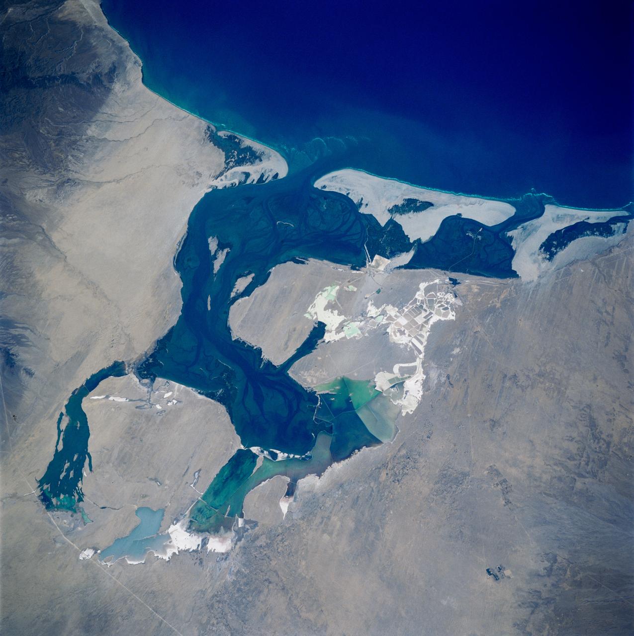 STS083-749-084 (4-8 April 1997) --- Laguna Oja De Liebre, Baja, gray whale breeding ground Laguna Oja De Liebre, Baja (Scammons Lagoon) is located on the west coast in the plains of the central Baja.  This lagoon and others like it along the Baja coast are used for breeding grounds for the gray whale.  One group of gray whales inhabits the Sea of Okhotsk in summer, migrating south in winter then breed off southern Korea.  The other summers in the Bering and Chukchi seas and travels south to winter breeding grounds along the coast of Baja California.  The gray whale was hunted almost to extinction by 1925 but was placed under complete international protection and since the 1940s has increased in numbers.  The white grids seen in the photo are commercial salt ponds.