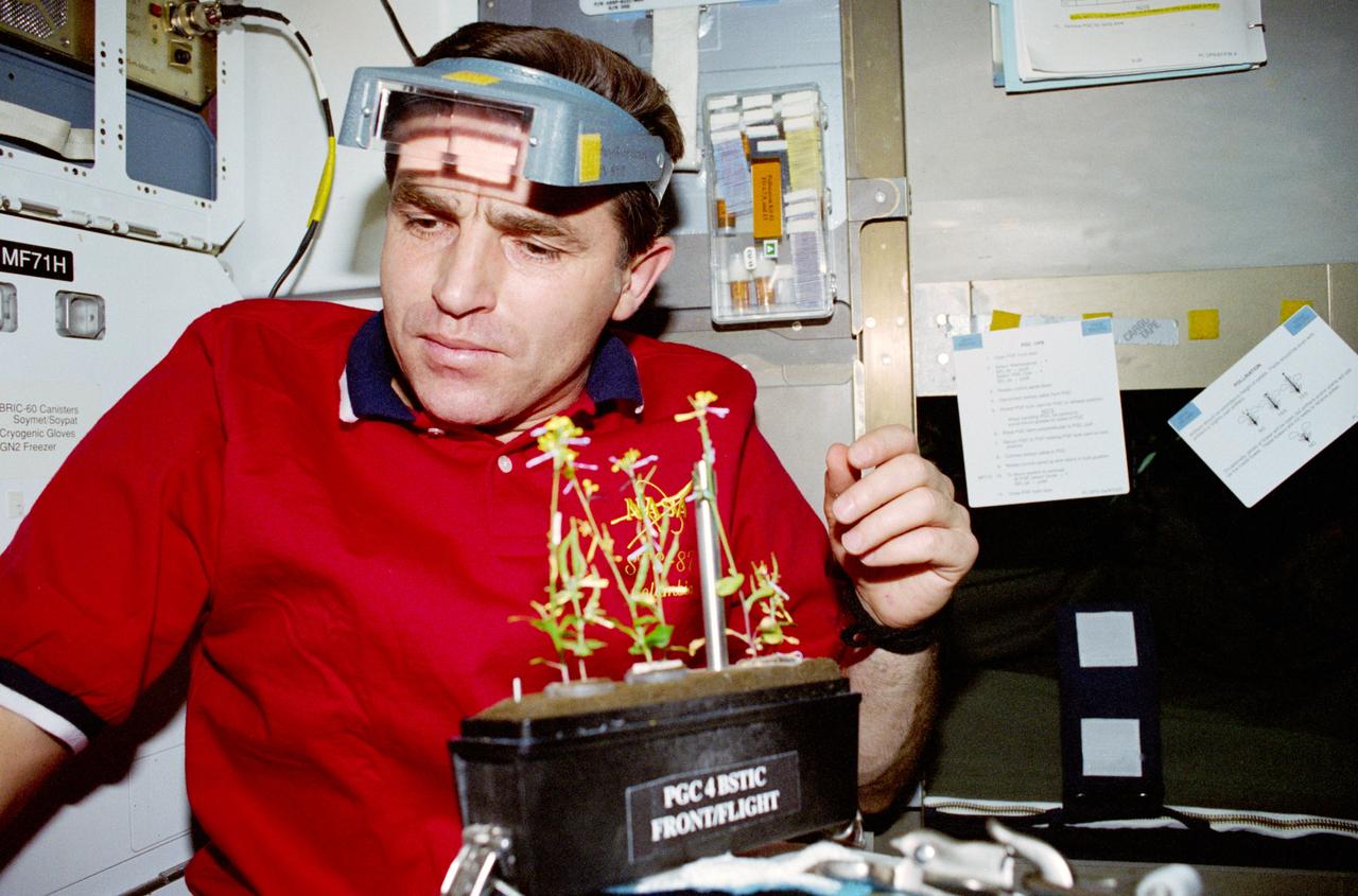 STS087-332-034 (19 November – 5 December 1997) --- On the Space Shuttle Columbia's middeck, Leonid Kadenyuk, Ukrainian payload specialist, works with the Brassica Rapa plants being grown for the Collaborative Ukrainian Experiment (CUE). Leonid Kadenyuk joined five astronauts for 16-days in Earth-orbit in support of the United States Microgravity Payload 4 (USMP-4) mission.