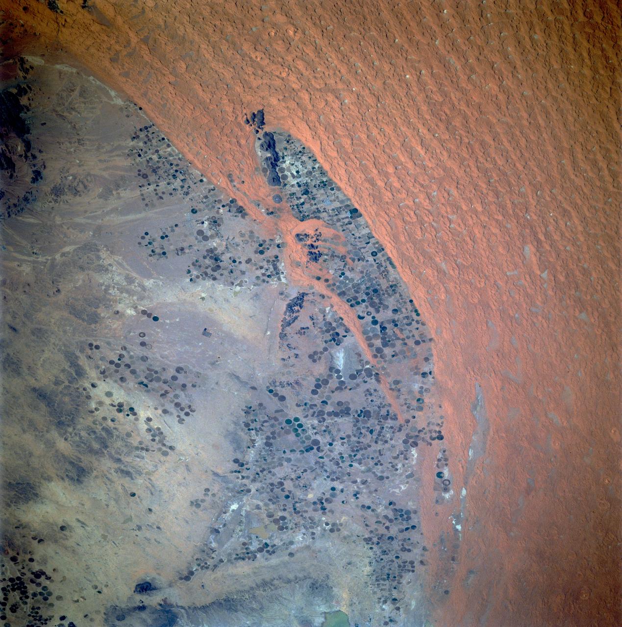 STS087-703-089 (19 November &#0150; 5 December 1997) --- Featured in this view is center pivot irrigation in central Saudi Arabia.  Abundant petroleum has provided the energy source for deep-well pumps that tap groundwater stored in bedrock many thousands of years ago when the climate was much wetter.  The fields are carved out of ancient alluvial fan deposits, also formed when rainfall was much greater; the fields are pushed right to the edge of the Nafud al Mazhur (sand sea), representative of the present climate.  The mining of petroleum and groundwater has enabled Saudi Arabia to become an exporter of wheat and other commodities, in addition to the oil for which it is famous.  This picture is one of the 70mm Earth observation visuals used by the crew at its post flight presentation events.