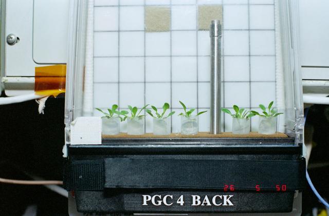 NASA image: Photographic documentation of the PGIM-1 experiment during STS-100