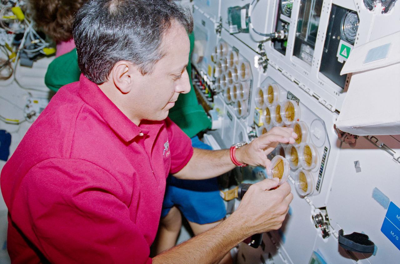 STS093-350-008 (22-27 July 1999) --- Astronaut Michel Tognini, mission specialist representing France&#0146;s Centre National d&#0146;Etudes Spatiales (CNES), checks the Biological Research in Canisters (BRIC) payload petri dishes on the mid deck of the Space Shuttle Columbia. BRIC was designed to investigate the effects of space flight on small arthropod animals and plant specimens.