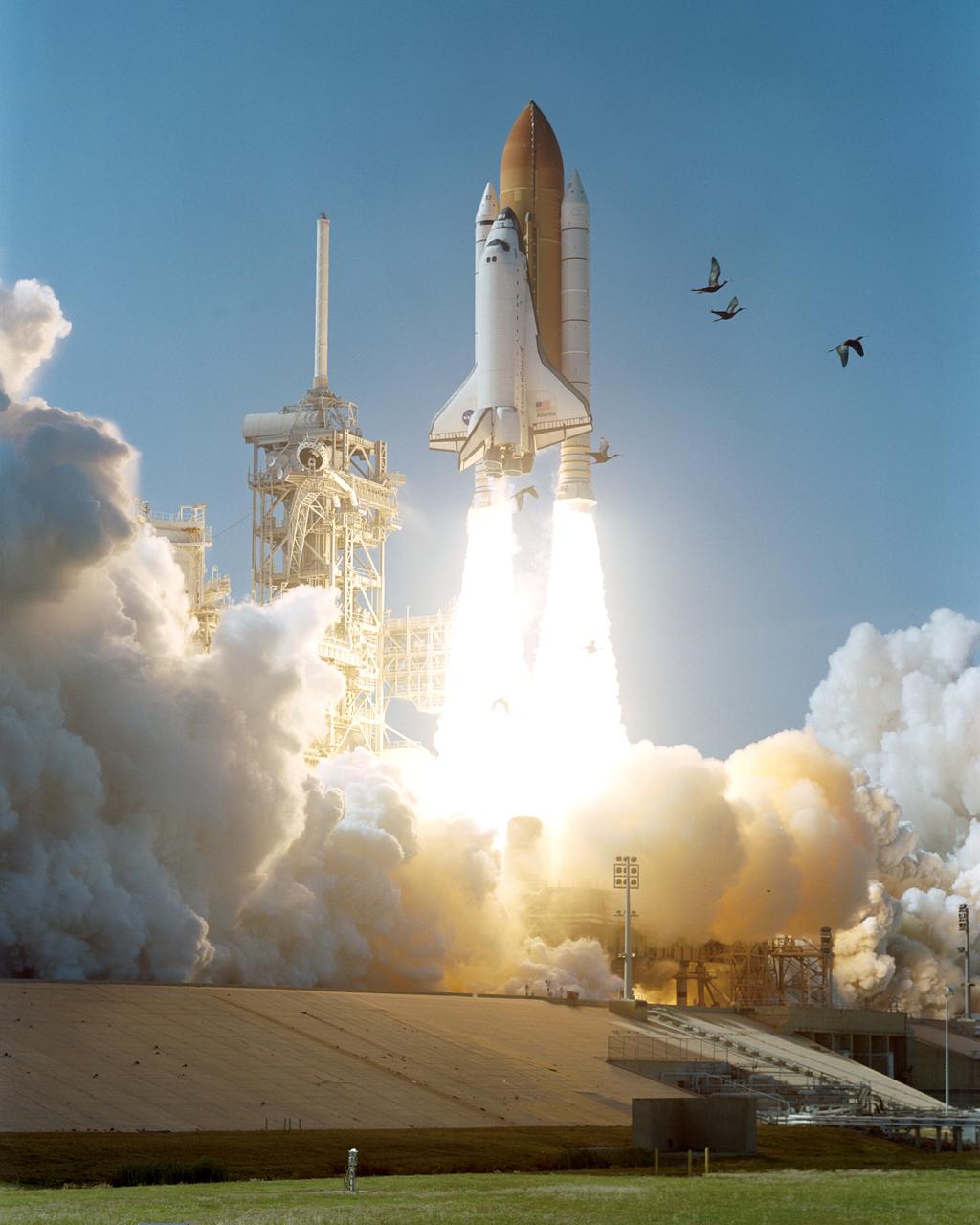 STS110-S-009 (8 April 2002) --- A number of birds take flight as the Space Shuttle Atlantis lifts off from KSC's Launch Complex 39 at 4:44:19 p.m. (EDT), April 8, 2002. Seven astronauts were en route to the International Space Station (ISS) for a week of work on the orbital outpost, including the installation of the S0 (S-zero) truss.