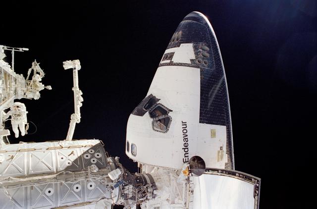 NASA image: Herrington during STS-113 EVA 3