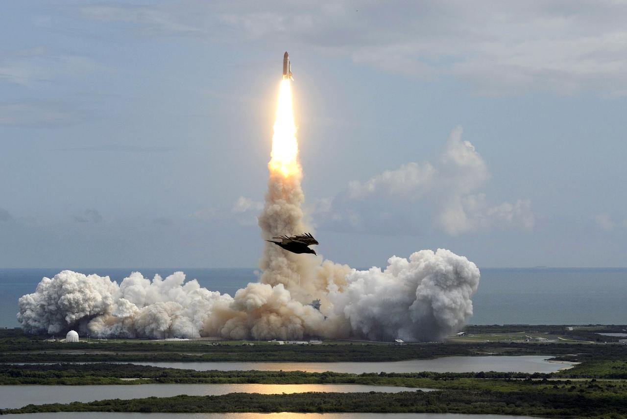 STS120-S-020 (23 Oct. 2007) --- The Space Shuttle Discovery and its seven-member STS-120 crew head toward Earth-orbit and a scheduled link-up with the International Space Station. Liftoff from Kennedy Space Center's launch pad 39A occurred at 11:38:19 a.m. (EDT). Onboard are astronauts Pam Melroy, commander; George Zamka, pilot; Scott Parazynski, Stephanie Wilson, Doug Wheelock, European Space Agency's (ESA) Paolo Nespoli and Daniel Tani, all mission specialists. Discovery will link up with the station on Thursday, Oct. 25, to begin a joint mission to continue construction by delivering the Italian-built U.S. Node 2, called Harmony. During the 14-day mission, the crew will install Harmony and move the P6 solar arrays to their permanent position and deploy them.