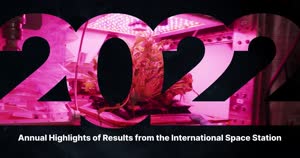 2022 Annual Highlights of Results from the International Space Station