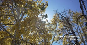 20250919_SVS14894_FireSense_at_Fort_Stewart_Rx_Burn_4096x2160_29.97fps_ENGLISH_GAW_FINAL_CUT_V2_VOTY