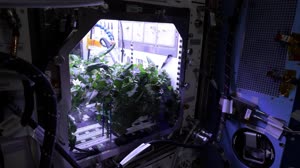 NASA ScienceCasts: Station Science 101 - Advancing Plant Science with Space Gardens