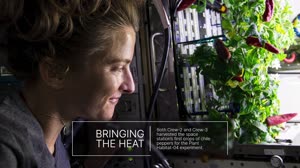 Best Space Station Science Pictures of 2021