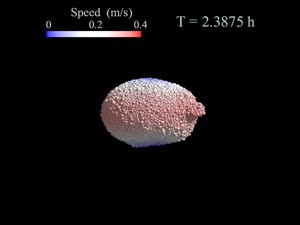 Didymos Ridge Formation DART