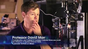 Crystallization and Folding of Complex Colloidal Molecules Under the Influence of Applied External Fields Experiment