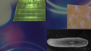 Space Biology Being Studied on the International Space Station (ISS)