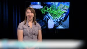 NASA Engineering Design Challenge: Packing Up for the Moon