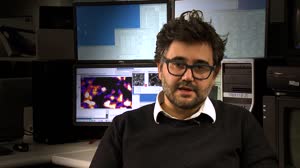 Aggregation of Colloidal Particles