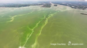 Remote Sensing Harmful Algal Bloom Video Journal - Videographer of the Year Award 2021 Entry