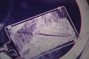 Skylab Zero-G Flammability Studies - 16mm Film Transfer