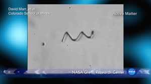 Professor Ning Wu on the Study of Giant Colloidal Molecules